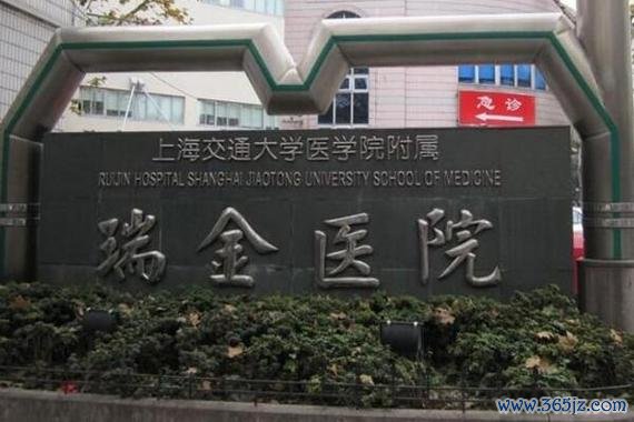上海试管婴儿技术医院排名首推