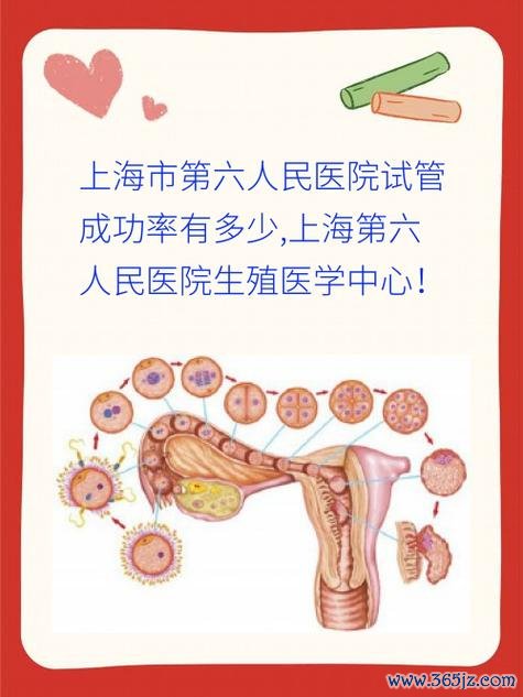 上海试管婴儿技术哪家医院领先